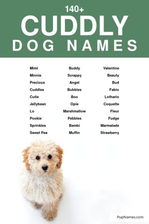 cuddly dog names