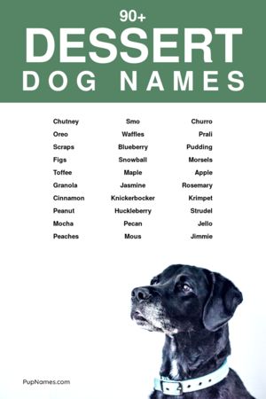 dessert dog names