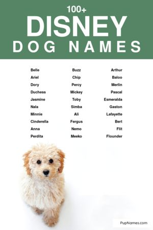 disney dogs names