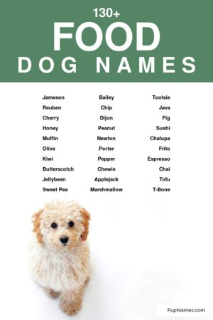 food dog names