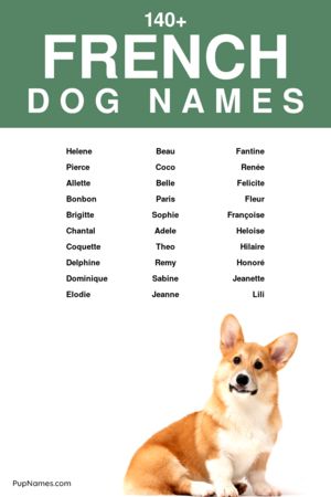 french dog names