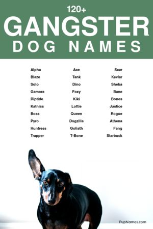 Gangster Dog Names