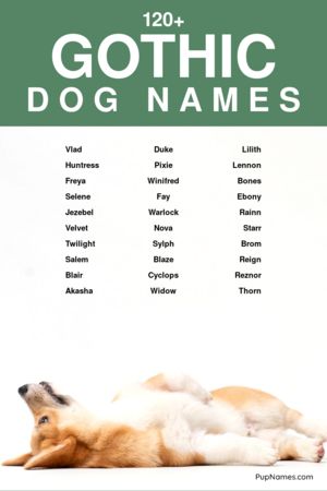 gothic dog names