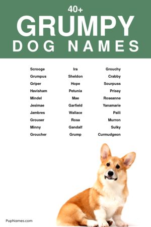 grumpy dog names