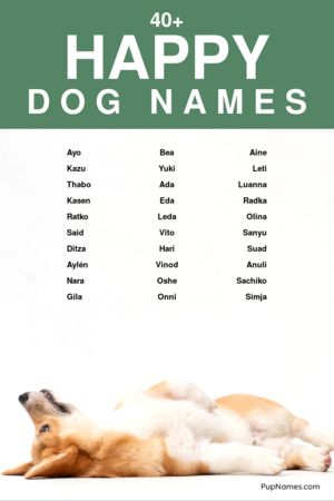 happy dog names