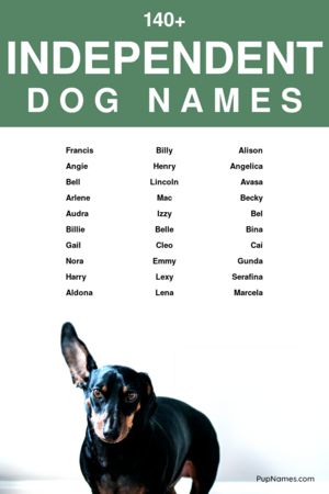 independent dog names