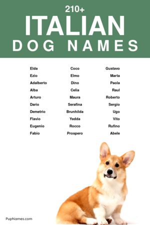 italian dog names