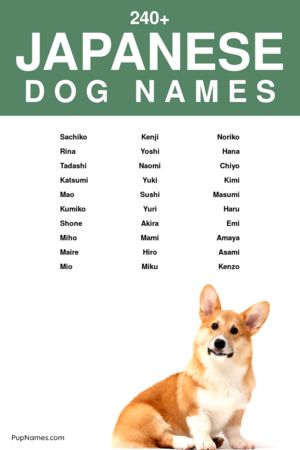 japanese dog names