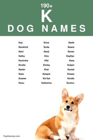 dog names starting with k