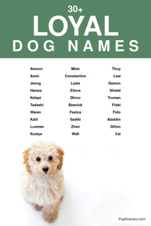 loyal dog names