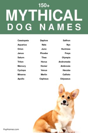 150 Mythical Names For Dogs