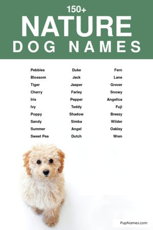 nature dog names
