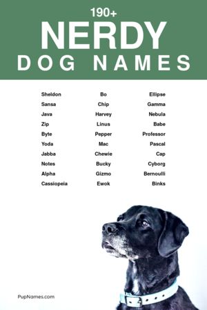 nerdy dog names