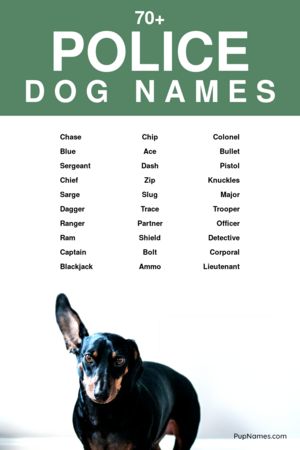 Police Dog Names