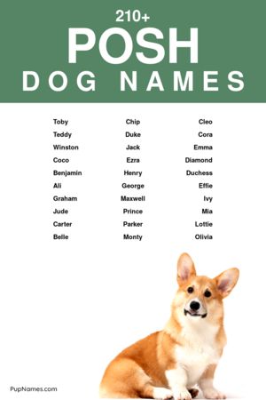 posh dog names