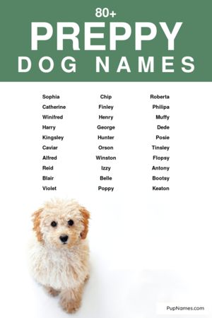 preppy dog names