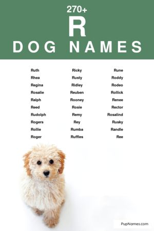 dog names starting with r