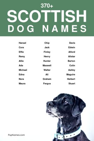 scottish dog names