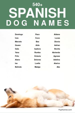 spanish dog names