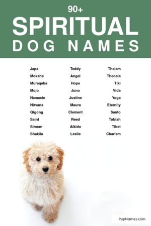 spiritual dog names