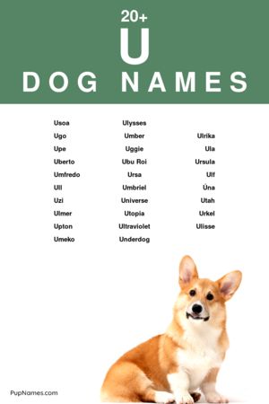 dog names starting with u