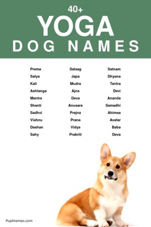 yoga dog names