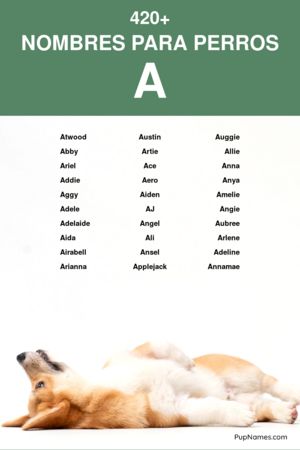 nombres para perros que empiezan con a