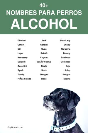 nombres de alcohol para perros