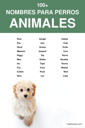 nombres de animales para perros