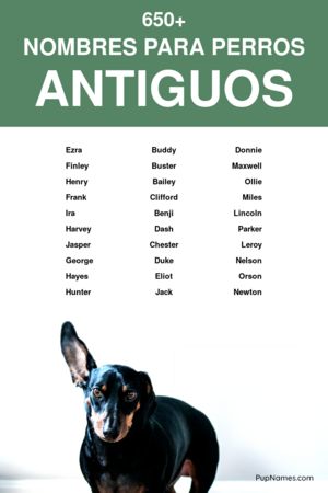 nombres antiguos para perros