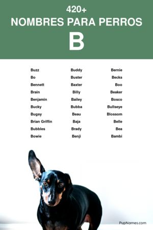 nombres para perros que empiezan con b