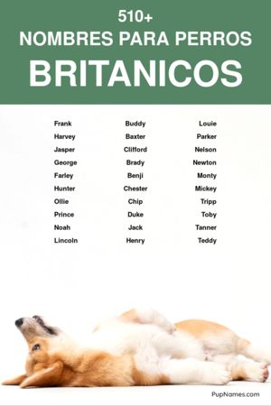 nombres británicos para perros