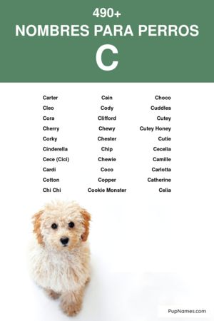 nombres para perros que empiezan con c