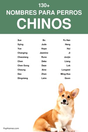 nombres chinos para perros