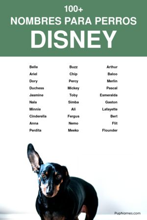 nombres de disney para perros