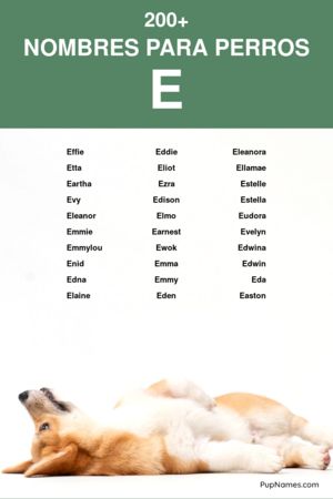 nombres para perros que empiezan con e