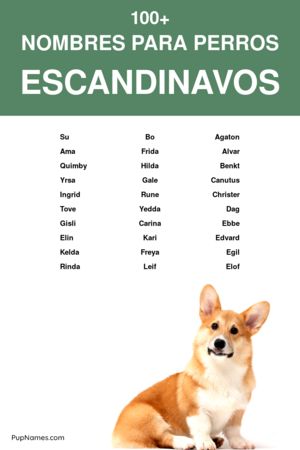 nombres escandinavos para perros