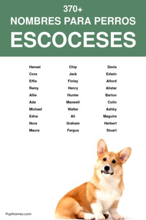 nombres escoceses para perros