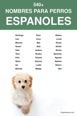 nombres españoles para perros