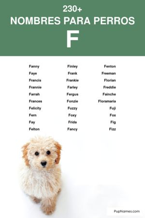 nombres para perros que empiezan con f