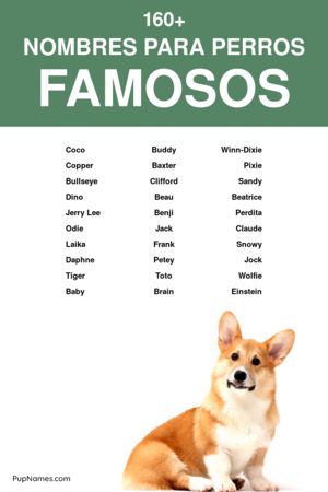 nombres famosos para perros