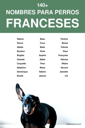 nombres franceses para perros