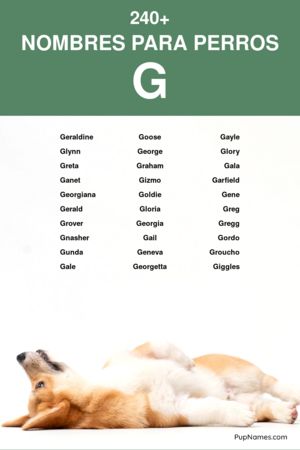 nombres para perros que empiezan con g