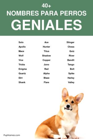 nombres geniales para perros