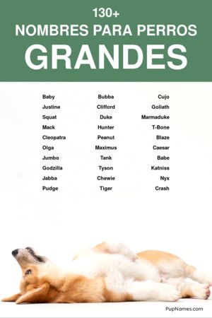 nombres para perros grandes