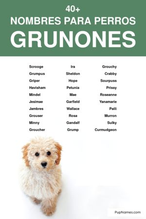 nombres para perros gruñones