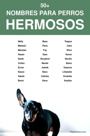 nombres hermosos para perros