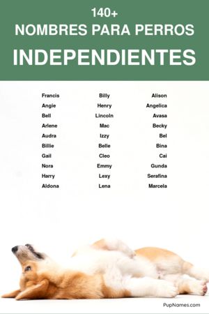 nombres independientes para perros