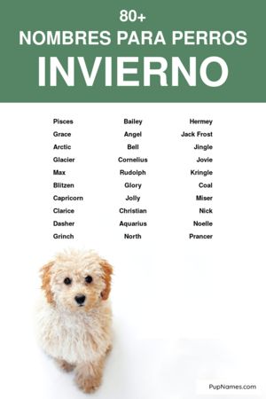 nombres de invierno para perros
