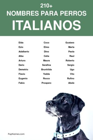 nombres italianos para perros